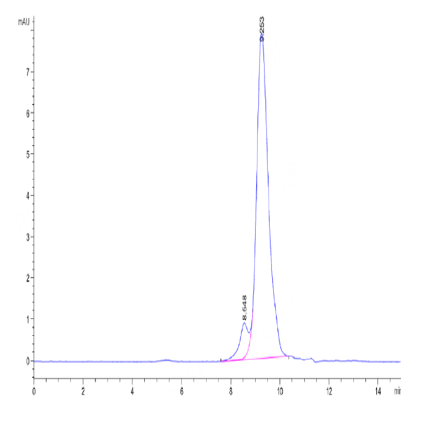 Human VEGF121 Protein (VEG-HM021)