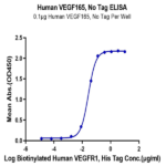 Human VEGF165 Protein (VEG-HM065)