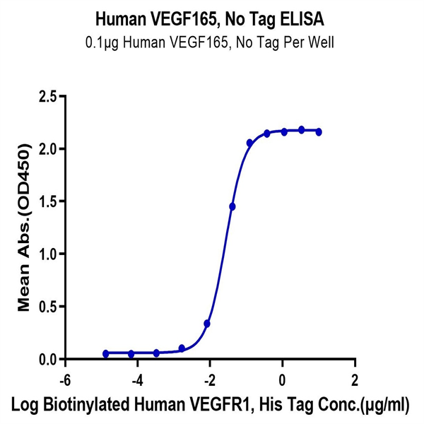 Human VEGF165 Protein (VEG-HM065) Human VEGF165 Protein (VEG-HM065)