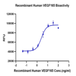 Human VEGF165 Protein (VEG-HM065)