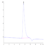 Human VEGF165 Protein (VEG-HM065)