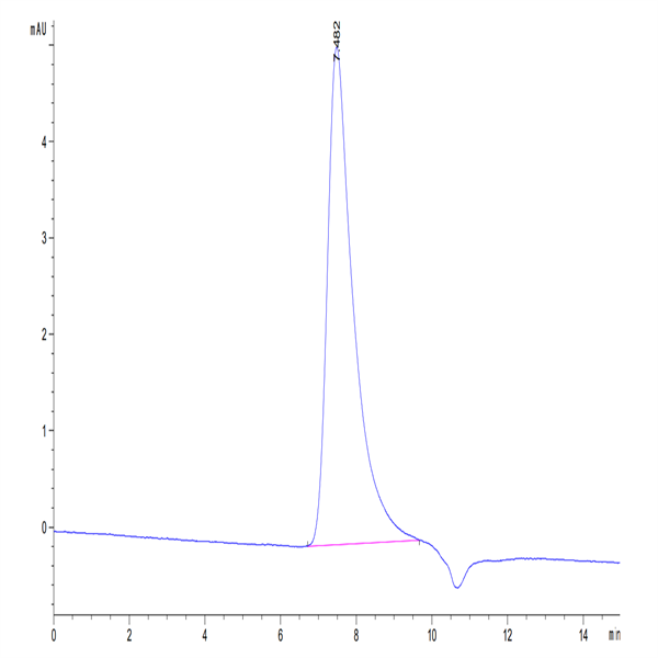Human VEGF165 Protein (VEG-HM065)