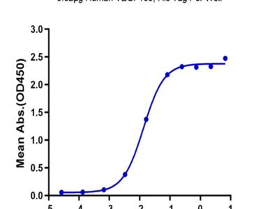 Human VEGF165 Protein (VEG-HM465)