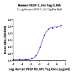 Human VEGF-C/Flt4-L Protein (VEG-HM4F1)
