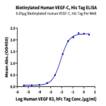 Biotinylated Human VEGF-C/Flt4-L Protein (VEG-HM4F1B)