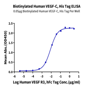 Biotinylated Human VEGF-C/Flt4-L Protein (VEG-HM4F1B)