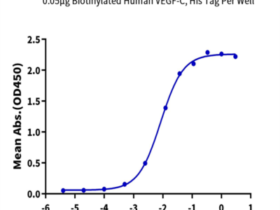 Biotinylated Human VEGF-C/Flt4-L Protein (VEG-HM4F1B)