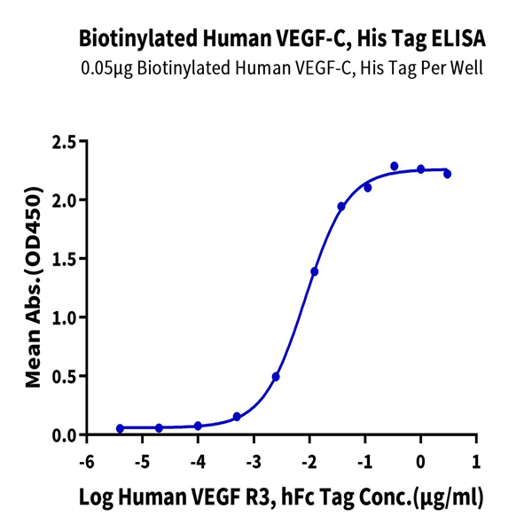Biotinylated Human VEGF-C/Flt4-L Protein (VEG-HM4F1B)