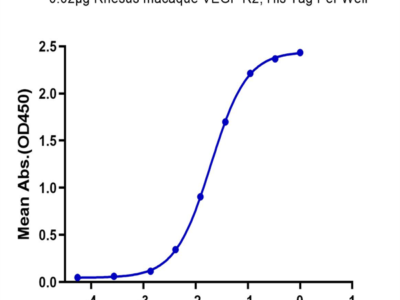 Rhesus macaque VEGF R2/KDR Protein (VGF-CM1R2)