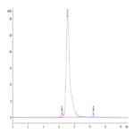 Rhesus macaque VEGF R2/KDR Protein (VGF-CM1R2)