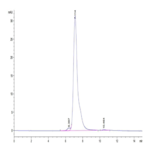 Rhesus macaque VEGF R2/KDR Protein (VGF-CM1R2)