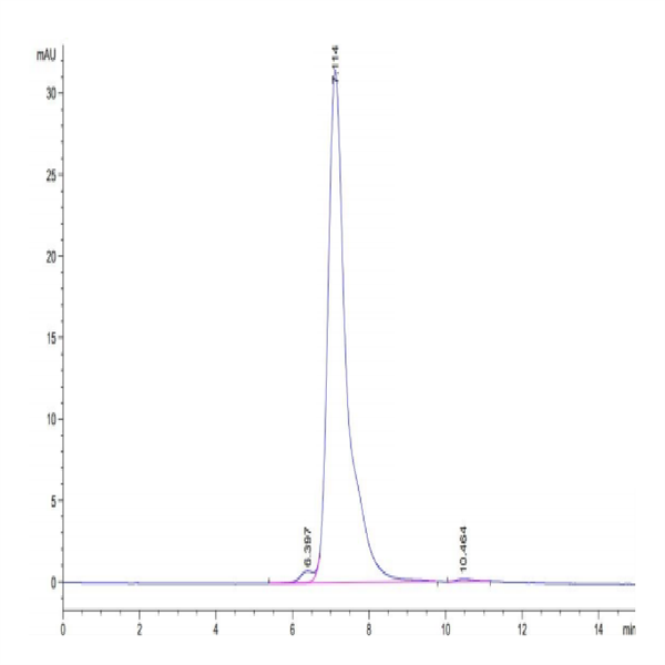 Rhesus macaque VEGF R2/KDR Protein (VGF-CM1R2)