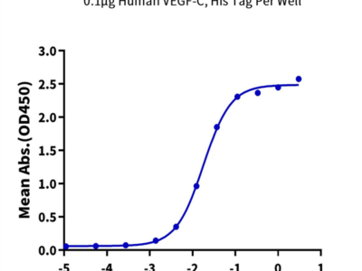 Human VEGF R3/FLT4 Protein (VGF-HM2R3)