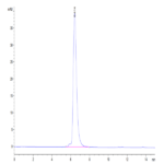 Human VEGF R3/FLT4 Protein (VGF-HM2R3)