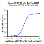 Human VEGF R2/KDR Protein (VGF-HM3R2)