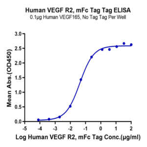 Human VEGF R2/KDR Protein (VGF-HM3R2)