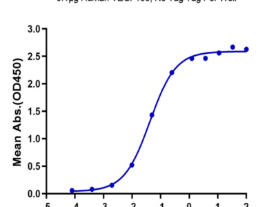 Human VEGF R2/KDR Protein (VGF-HM3R2)