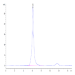 Human VEGF R2/KDR Protein (VGF-HM3R2)