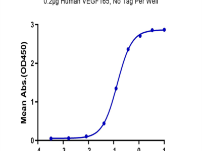 Biotinylated Human VEGF R2/KDR Protein (Primary Amine Labeling) (VGF-HM3R2B)
