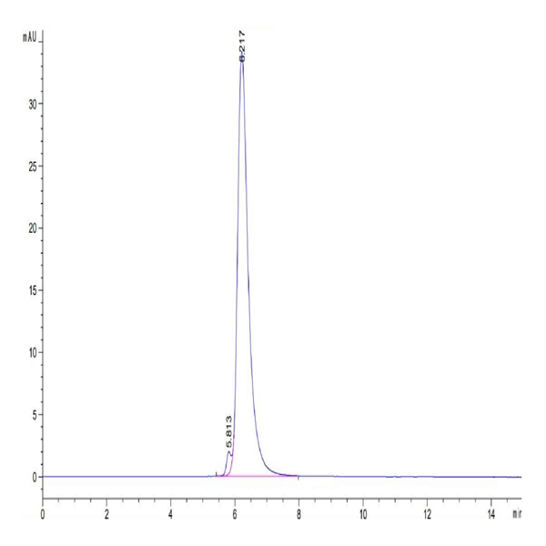 Biotinylated Human VEGF R2/KDR Protein (Primary Amine Labeling) (VGF-HM3R2B)