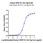 Human VEGF R1/FLT-1 Protein (VGF-HM4R1)