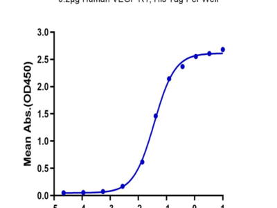 Human VEGF R1/FLT-1 Protein (VGF-HM4R1)