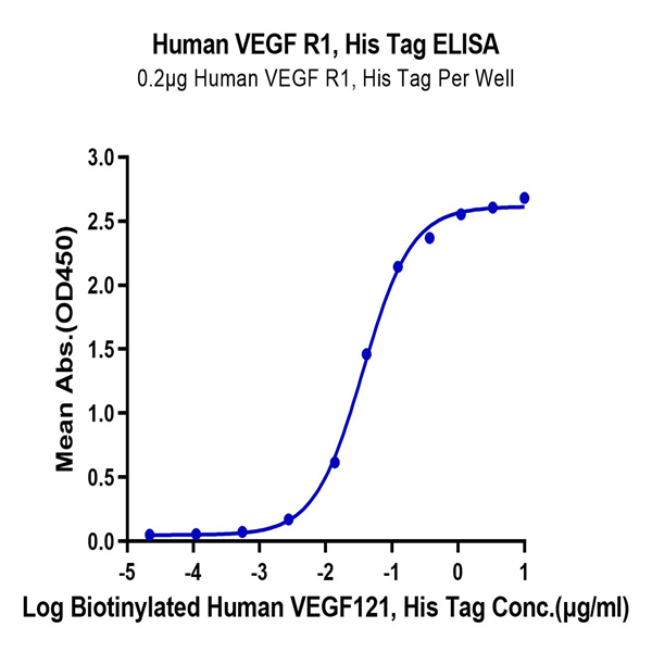 Human VEGF R1/FLT-1 Protein (VGF-HM4R1) Human VEGF R1/FLT-1 Protein (VGF-HM4R1)