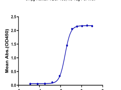 Biotinylated Human VEGF R1/FLT-1 Protein (VGF-HM4R1B)