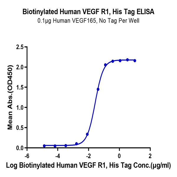 Biotinylated Human VEGF R1/FLT-1 Protein (VGF-HM4R1B) Biotinylated Human VEGF R1/FLT-1 Protein (VGF-HM4R1B)