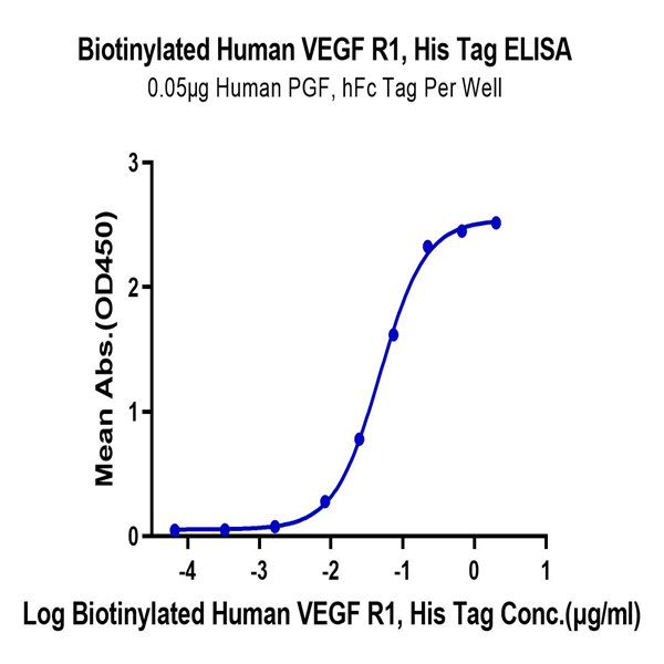 Biotinylated Human VEGF R1/FLT-1 Protein (VGF-HM4R1B)