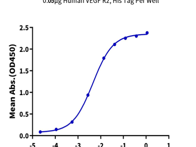 Human VEGF R2/KDR Protein (VGF-HM4R2)