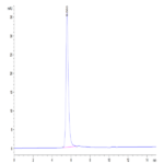 Human VEGF R2/KDR Protein (VGF-HM4R2)