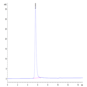 Human VEGF R2/KDR Protein (VGF-HM4R2)