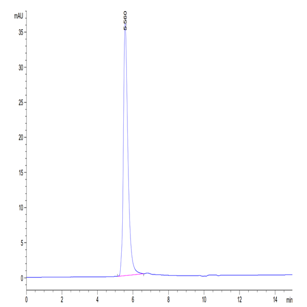 Human VEGF R2/KDR Protein (VGF-HM4R2)