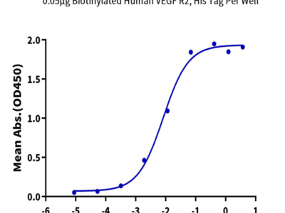 Biotinylated Human VEGF R2/KDR Protein (VGF-HM4R2B)
