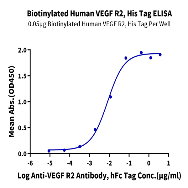 Biotinylated Human VEGF R2/KDR Protein (VGF-HM4R2B) Biotinylated Human VEGF R2/KDR Protein (VGF-HM4R2B)