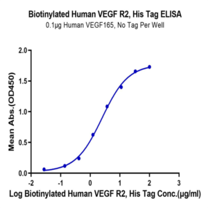 Biotinylated Human VEGF R2/KDR Protein (VGF-HM4R2B)