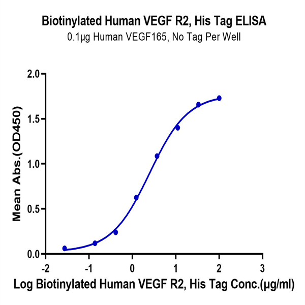 Biotinylated Human VEGF R2/KDR Protein (VGF-HM4R2B)