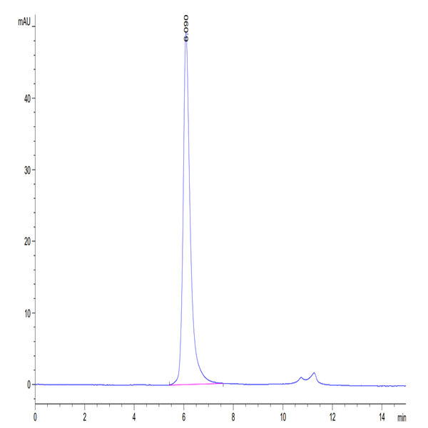 Biotinylated Human VEGF R2/KDR Protein (VGF-HM4R2B)