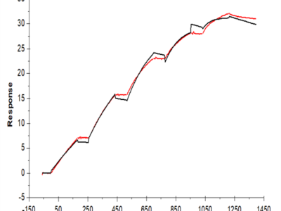 Human VEGF R3/FLT4 Protein (VGF-HM4R3)