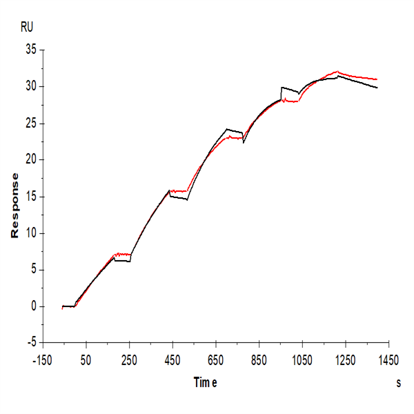 Human VEGF R3/FLT4 Protein (VGF-HM4R3) Human VEGF R3/FLT4 Protein (VGF-HM4R3)