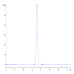 Human VEGF R3/FLT4 Protein (VGF-HM4R3)