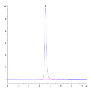 Human VEGF R3/FLT4 Protein (VGF-HM4R3)