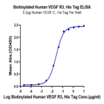 Biotinylated Human VEGF R3/FLT4 Protein (VGF-HM4R3B)