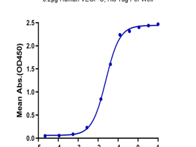 Biotinylated Human VEGF R3/FLT4 Protein (VGF-HM4R3B)