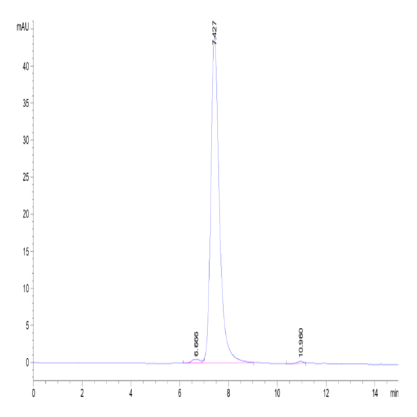 Biotinylated Human VEGF R3/FLT4 Protein (VGF-HM4R3B)
