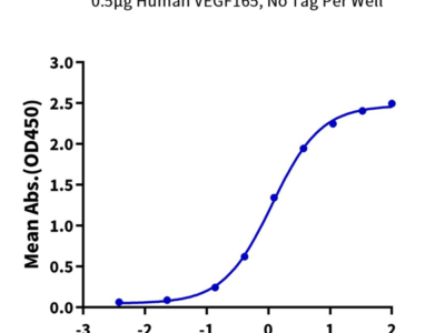 Mouse VEGF R2/KDR Protein (VGF-MM1R2)