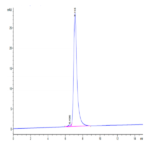 Mouse VEGF R2/KDR Protein (VGF-MM1R2)