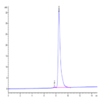 Cynomolgus VSIG4 Protein (VSG-CM104)