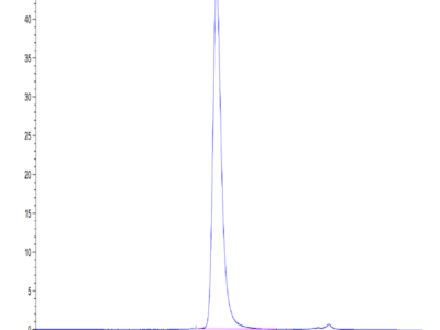 Human VSIG4 Protein (VSG-HM104)